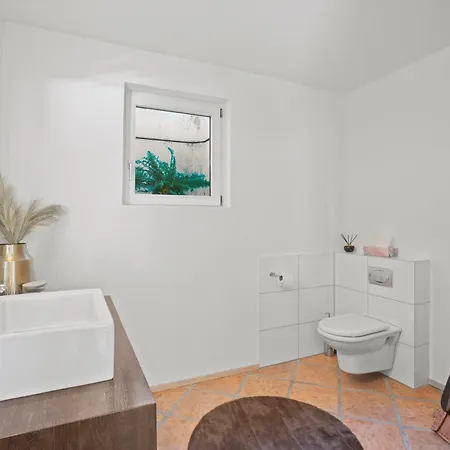 A&y Wellness Didi Davos